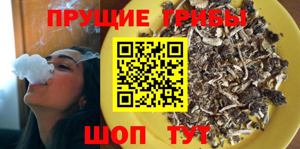 Сибай  Псилоцибиновые грибы прущие грибы  Псилоцибиновые грибы GOLDEN TEACHER  Вход с VPN 